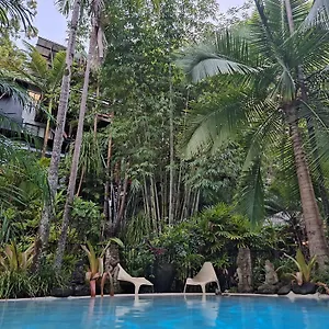 Alaya Escape Bed & Breakfast Eudlo